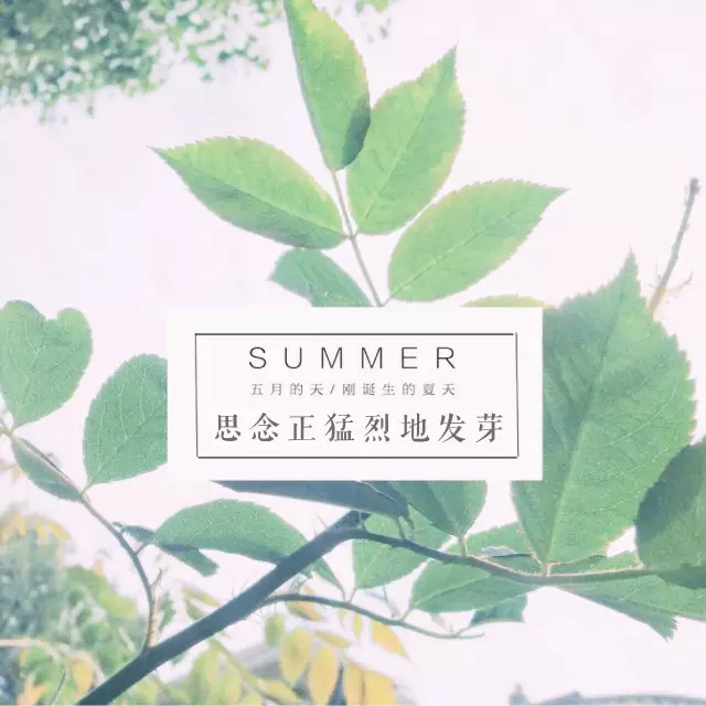 1506071357274331.jpg